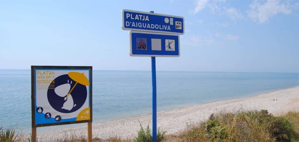 Playa Daiguaoliva para perros