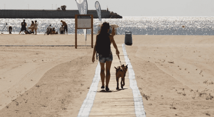 Playa de Pinedo para perros